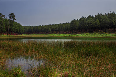 Scenic view of lake against sky