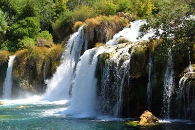 Scenic view of waterfall in forest