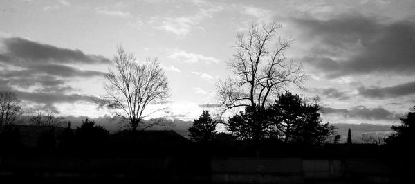 Bare trees on landscape against cloudy sky