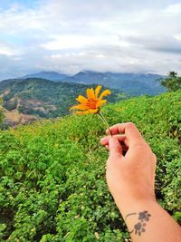Close-up of woman holding yellow flower on mountain against sky
