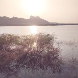 Scenic view of lake against clear sky during sunset