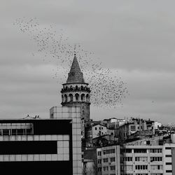 Low angle view of birds flying in city against sky