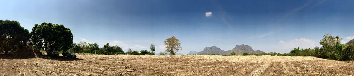 Panoramic shot of trees on land against sky