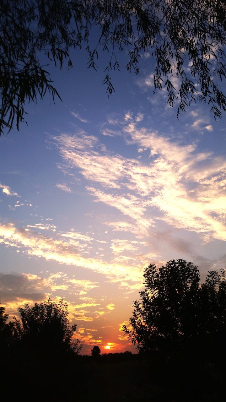 silhouette, tree, sunset, sky, tranquility, scenics, tranquil scene, beauty in nature, cloud - sky, nature, idyllic, branch, cloud, orange color, landscape, dramatic sky, low angle view, growth, cloudy, outdoors