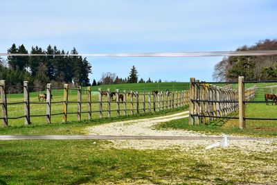 Fence on field against sky