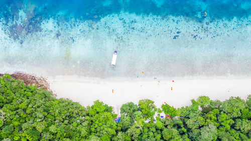 People on sea shore against plants