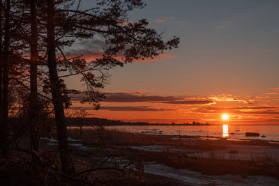 Scenic view of sea against orange sky