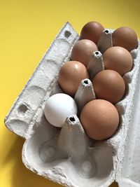 High angle view of eggs against white background