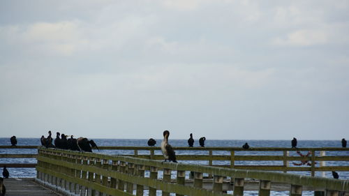 People looking at sea against sky