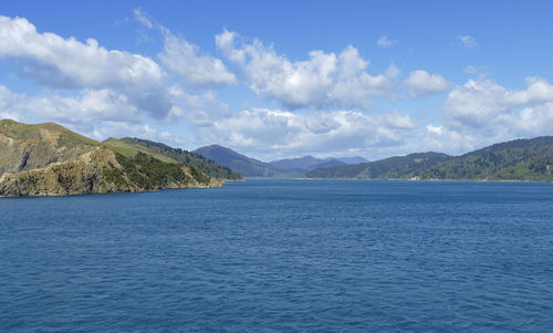 Coastal impression at queen charlotte sound in new zealand