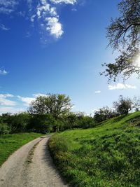 Empty road amidst trees on field against sky