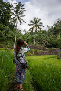 Rear view of woman standing on rice terrace against trees
