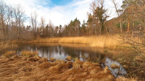 Scenic view of lake against sky