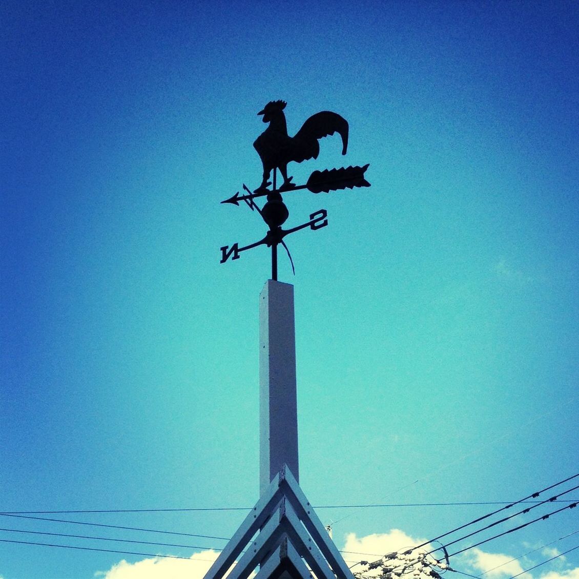 low angle view, blue, clear sky, bird, animal themes, copy space, silhouette, animals in the wild, wildlife, perching, street light, high section, lighting equipment, one animal, cable, outdoors, built structure, sky, electricity, no people