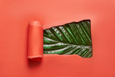 High angle view of strawberry against red background