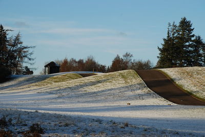 Road by trees against sky during winter