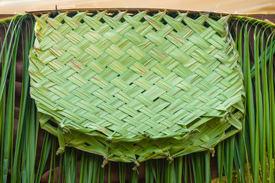 Low angle view of green leaves in basket