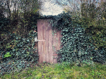 Closed wooden door of building