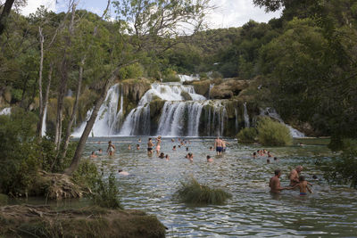 Scenic view of waterfall in forest