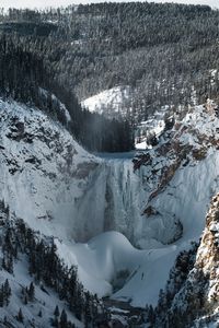 Grand canyon of yellowstone national park in winter