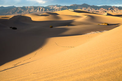 Scenic view of desert