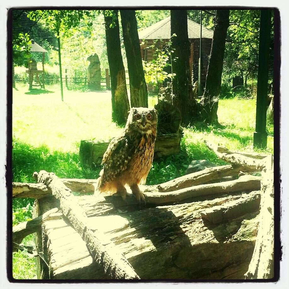 Tierpark Eilenburg