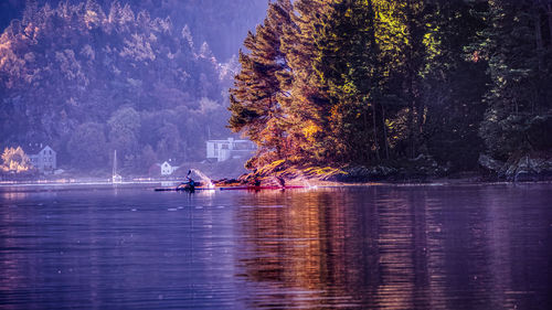 Scenic view of lake against trees