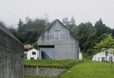 Architecture structure on trees and foggy day light 