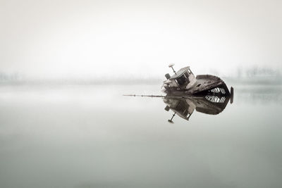 Abandoned tugboat in the fog