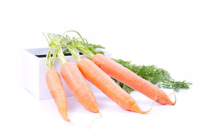 Close-up of food against white background