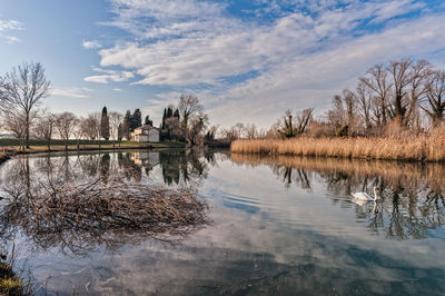 Reflection of trees in lake against sky