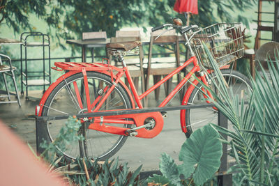 Bicycle parked by plants