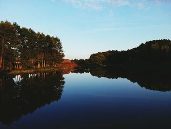 Reflection of trees in calm lake