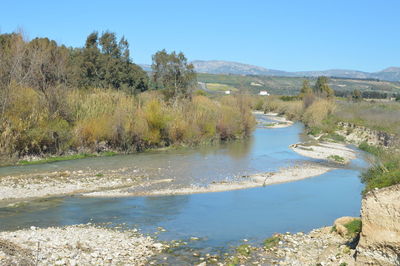 Scenic view of river with trees in background