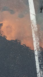 Reflection of trees in puddle