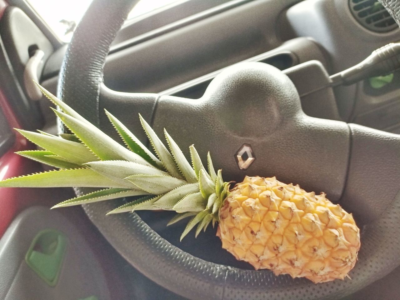 food, mode of transportation, car, motor vehicle, food and drink, transportation, plant, vehicle, car interior, pineapple, no people, indoors, close-up, vehicle interior, freshness, flower, wellbeing, produce, nature