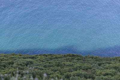 Scenic view of field near the sea 