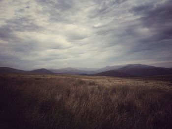 Scenic view of landscape against cloudy sky