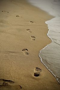 High angle view of footprints on beach