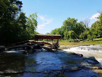 Gazebo by trees in forest against sky