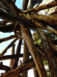 Low angle view of tree against sky