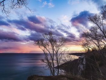 Silhouette bare tree by lake against sky during sunset