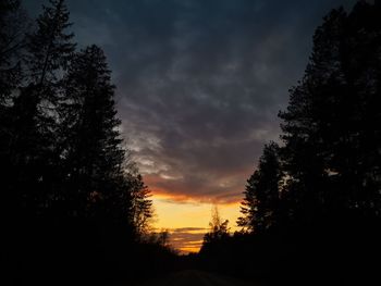 Low angle view of silhouette trees against sky during sunset