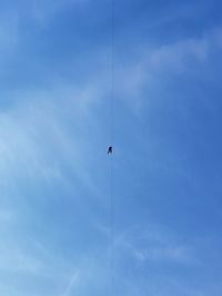 Low angle view of bird flying against sky