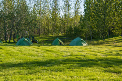 Tent in field