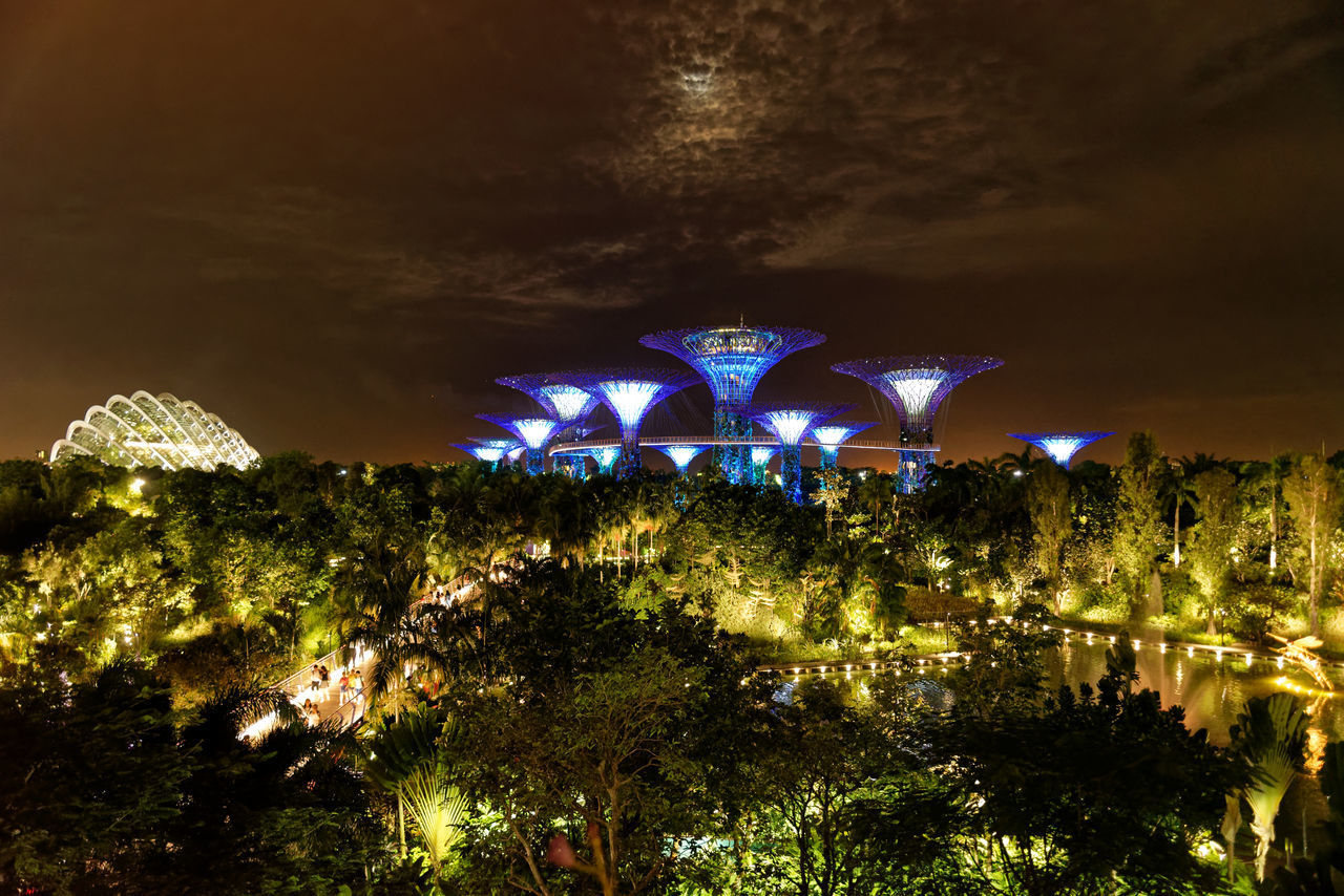 LOW ANGLE VIEW OF ILLUMINATED TREES AGAINST SKY