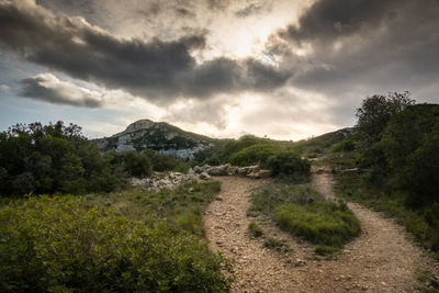 Scenic view of landscape against sky