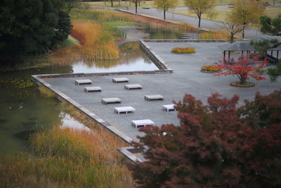 Scenic view of trees during autumn