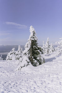 Scenic view of snow covered land against sky