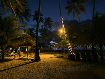 Palm trees at beach against sky at night
